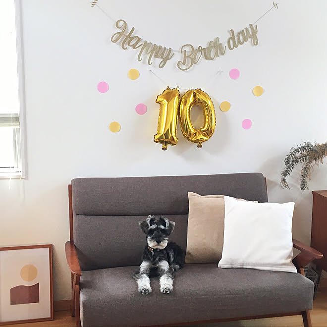 誕生日飾り付け ダイソー 犬と暮らす 無垢材 ドライフラワー などのインテリア実例 06 04 22 05 12 Roomclip ルームクリップ 誕生日飾り付け ダイソー 犬と暮らす 無垢材 ドライフラワー などのインテリア実例 06 04 22 05 12 Roomclip ルームクリップ