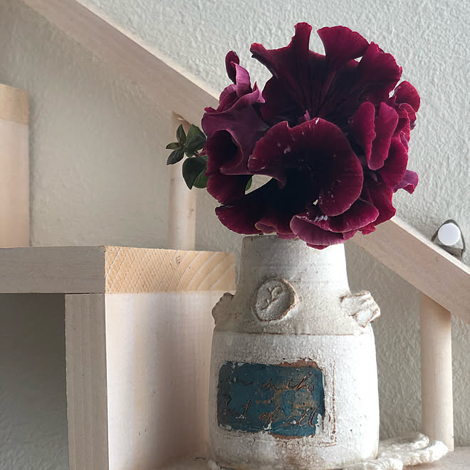 庭 ガーデニング パンジーとビオラ 皆さま いつもありがとう のインテリア実例 11 22 17 54 33 Roomclip ルームクリップ