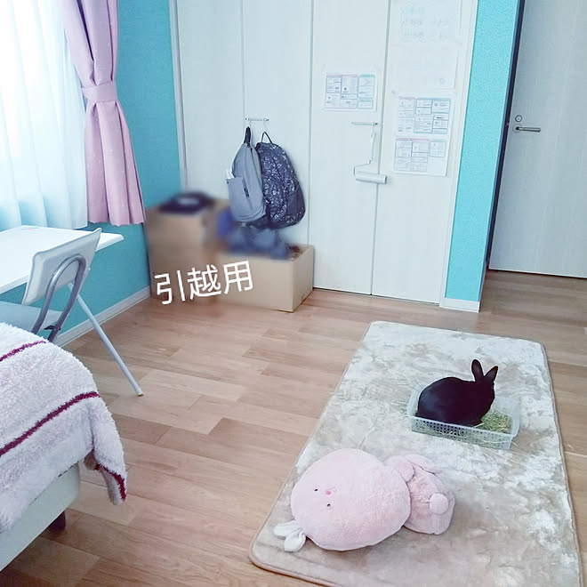 部屋全体 水色の壁 ピンク 大学生の部屋 うさぎのいる生活 などのインテリア実例 22 02 04 16 17 54 Roomclip ルームクリップ