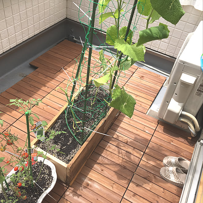 玄関 入り口 家庭菜園 ベランダガーデン ウッドパネル プランターdiy などのインテリア実例 18 07 08 12 44 15 Roomclip ルームクリップ