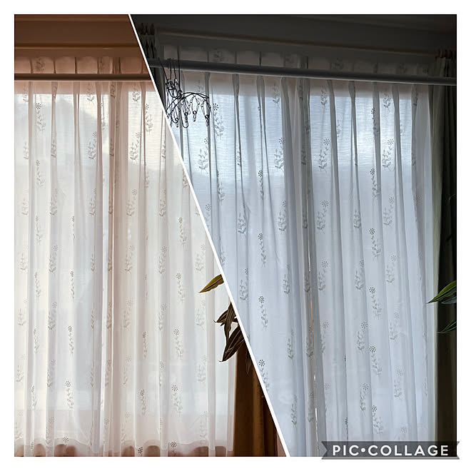 カーテン シンプルナチュラル 新築一戸建て リビング南側 リビングのインテリア実例 21 01 29 12 29 18 Roomclip ルームクリップ カーテン シンプルナチュラル 新築一戸建て リビング南側 リビングのインテリア実例 21 01 29 12 29 18 Roomclip ルームクリップ
