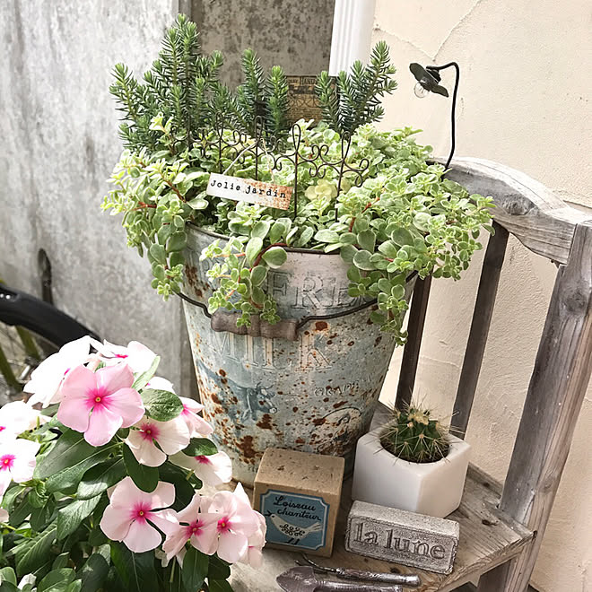 玄関 入り口 植物 セリア 雑貨のインテリア実例 17 08 21 09 14 37 Roomclip ルームクリップ