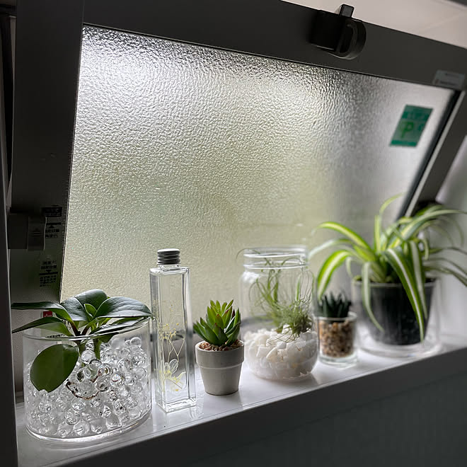 セリア フェイクグリーン 観葉植物 100均 バス トイレのインテリア実例 21 01 23 14 11 08 Roomclip ルームクリップ