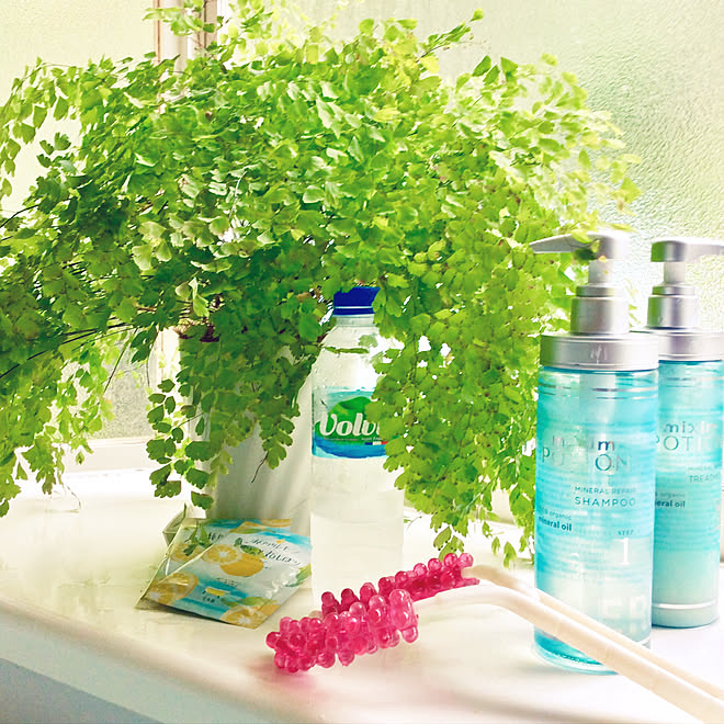 コロコロローラー アジアンタム バスパウダー お風呂 観葉植物 などのインテリア実例 10 04 10 01 37 Roomclip ルームクリップ