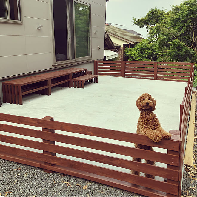 ベンチ DIY/ドッグランDIY/コレ、DIYしたよ！/トイプードル/いぬのいる暮らし...などのインテリア実例 20200506