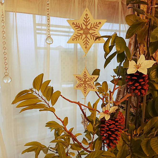 玄関/入り口/クリスマス/いつもいいねやコメありがとうございます♡/まつぼっくりアレンジ/風邪にお気をつけて...などのインテリア実例 - 2019-11-23 07:34:45