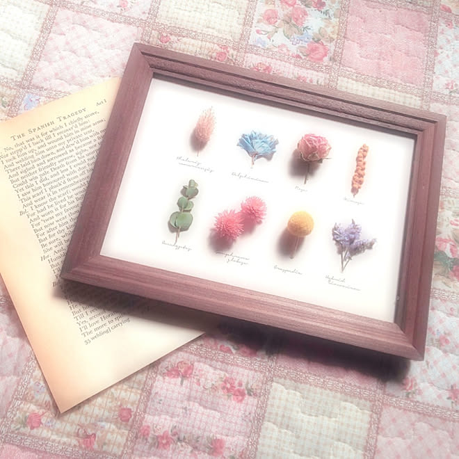 壁/天井/植物標本/ハンドメイド/雑貨/グリーンのある暮らし&hellip;などのインテリア実例 20210205 132422
