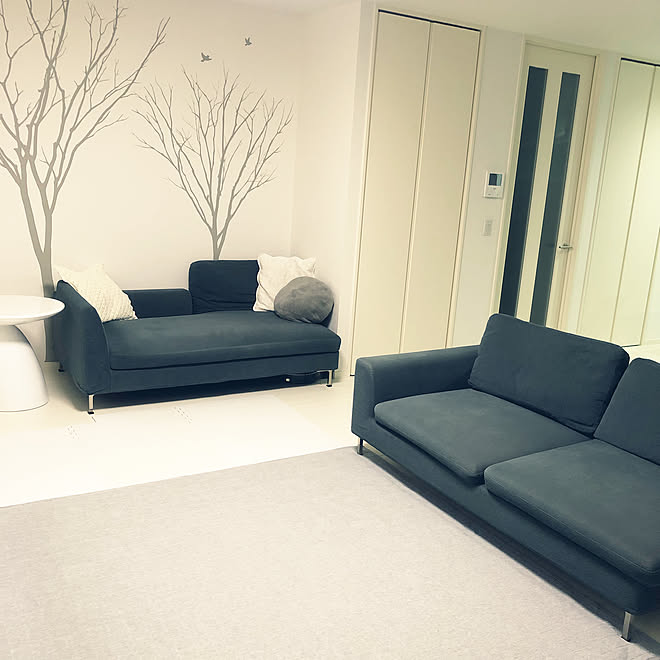 模様替え 断捨離 持たない暮らし ミニマリスト アルモニアソファー などのインテリア実例 19 08 08 21 54 56 Roomclip ルームクリップ