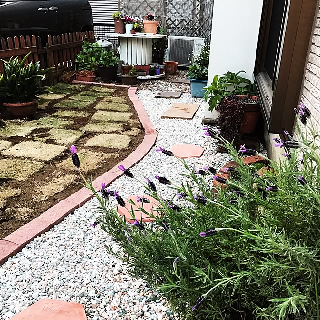 机 庭 10年振りの庭造り 一人で頑張ってます 低予算 などのインテリア実例 17 04 30 18 21 38 Roomclip ルームクリップ