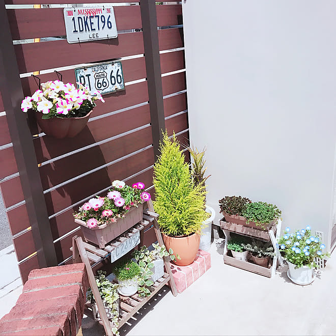 プランター ガーデニング 玄関 入り口のインテリア実例 04 22 12 45 28 Roomclip ルームクリップ