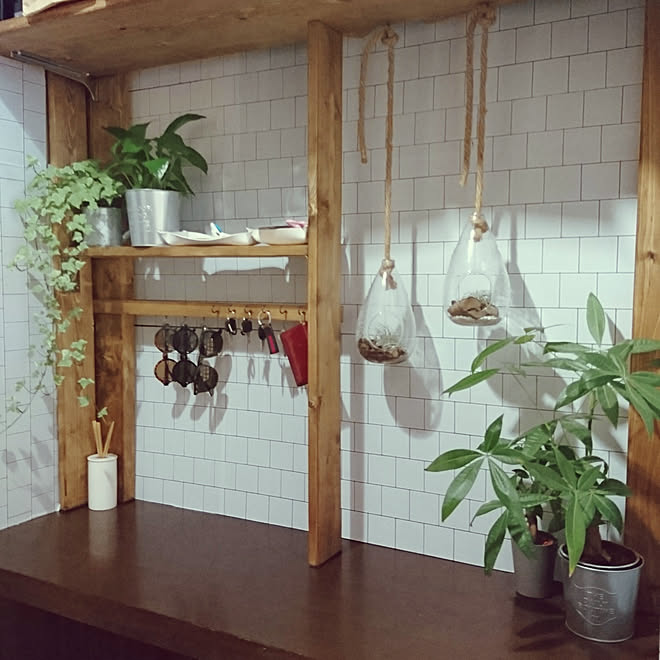 玄関 入り口 観葉植物 棚diy セリアリメイクシート 玄関 などのインテリア実例 19 08 26 15 35 29 Roomclip ルームクリップ 玄関 入り口 観葉植物 棚diy セリアリメイクシート 玄関 などのインテリア実例 19 08 26 15 35 29 Roomclip ルームクリップ