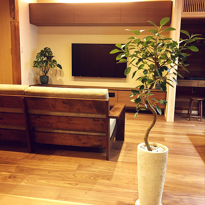 リビング フランスゴムの木 観葉植物 モンステラ 和モダン などのインテリア実例 18 11 18 09 24 43 Roomclip ルームクリップ リビング フランスゴムの木 観葉植物 モンステラ 和モダン などのインテリア実例 18 11 18 09 24 43 Roomclip ルームクリップ
