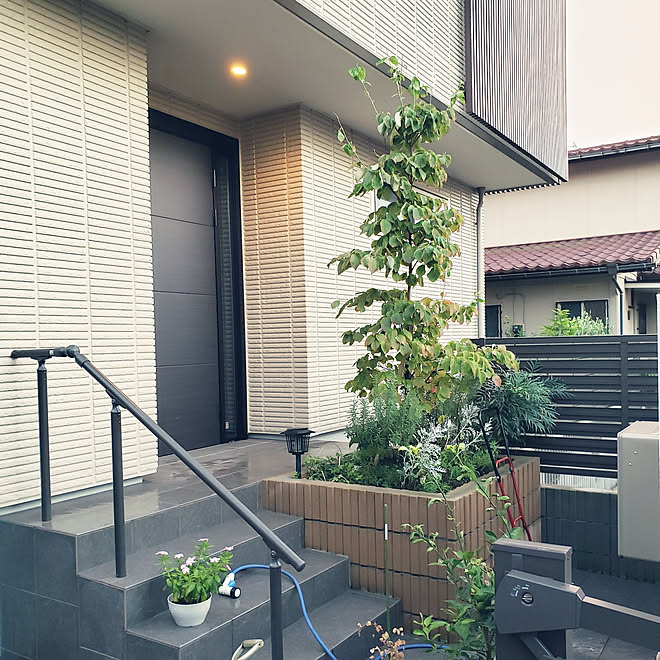 ヘーベルハウス はなみずき ハナミズキ シンボルツリーのインテリア実例 19 09 16 18 36 55 Roomclip ルームクリップ