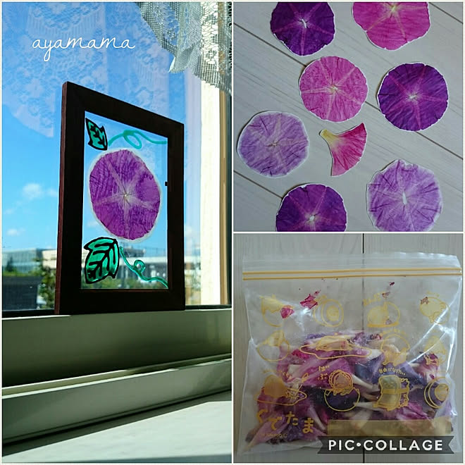 部屋全体 ハンドメイド 朝顔 Diy 子どもと暮らす などのインテリア実例 18 08 28 26 34 Roomclip ルームクリップ 部屋全体 ハンドメイド 朝顔 Diy 子どもと暮らす などのインテリア実例 18 08 28 26 34 Roomclip ルームクリップ