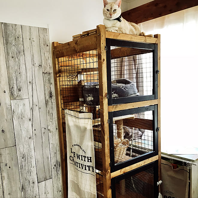 棚 100均のワイヤーでキャットゲージ キャットタワー キャットハウス 小さなおうち などのインテリア実例 18 06 14 11 33 37 Roomclip ルームクリップ
