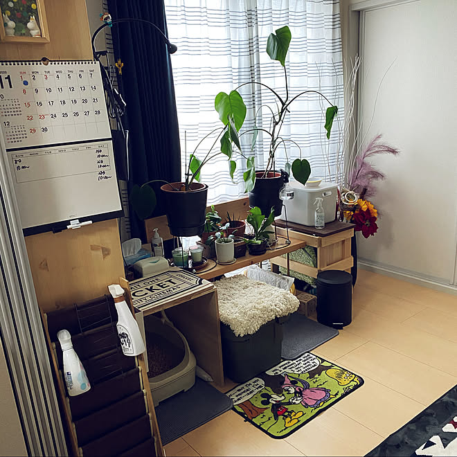 ペットのトイレスペース 犬猫と暮らす しゃれとんしゃあ会 引越ししました 仮住まい などのインテリア実例 11 06 17 58 45 Roomclip ルームクリップ