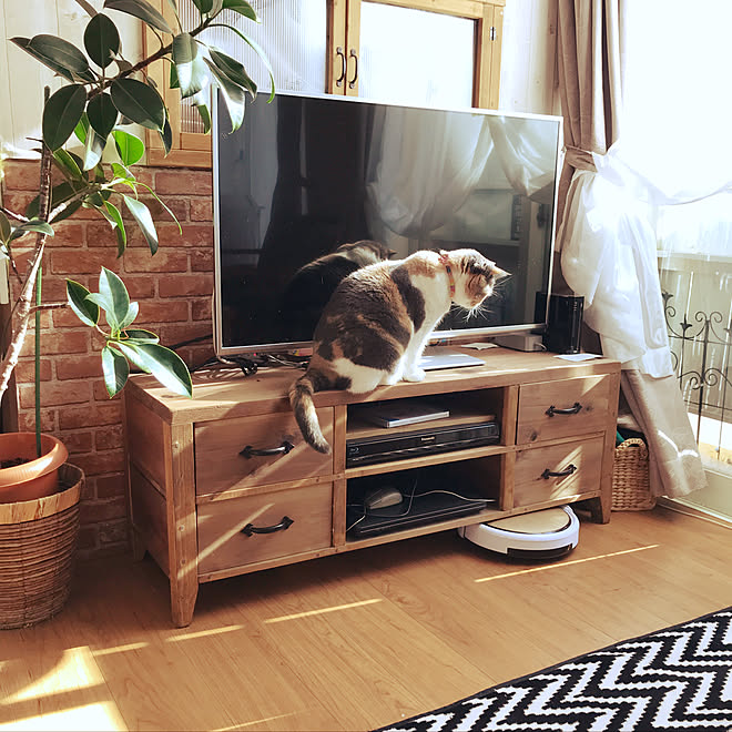 リビング お掃除ロボット Diy 小さなおうち テレビ台diy などのインテリア実例 2018 01 11 14 18 15 Roomclip ルームクリップ