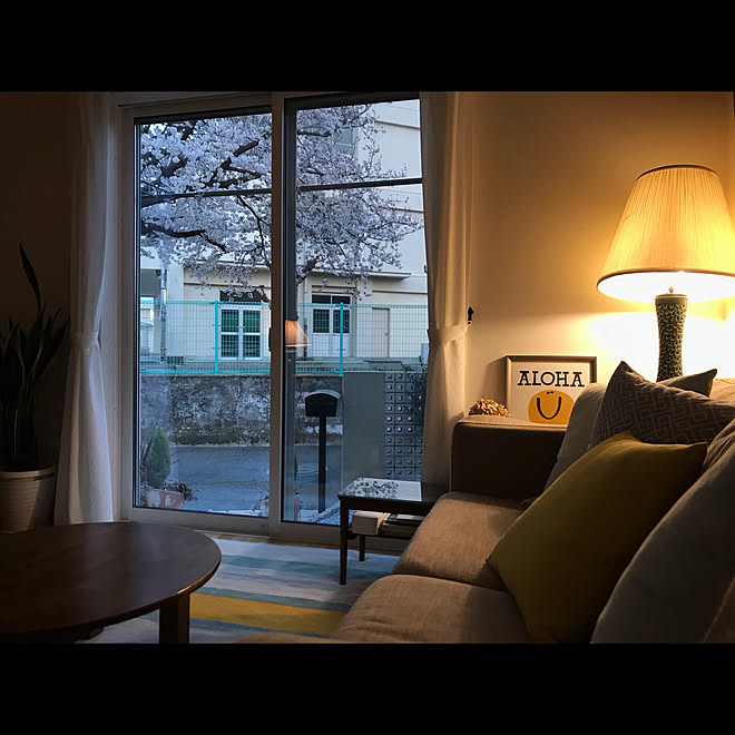 リビング 夕方の風景 花井祐介アート アンティークランプ 桜の木 などのインテリア実例 18 03 29 19 06 12 Roomclip ルームクリップ リビング 夕方の風景 花井祐介アート アンティークランプ 桜の木 などのインテリア実例 18 03 29 19 06 12 Roomclip ルームクリップ