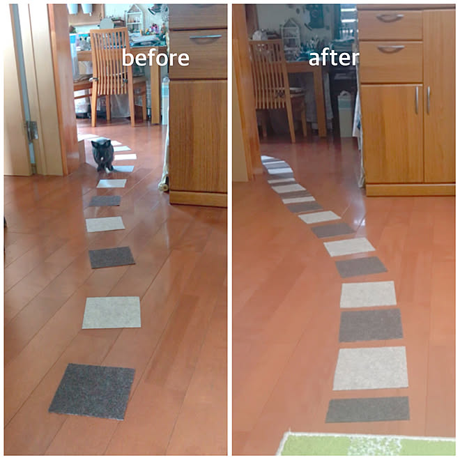 ソアホック対策 カットして使用 ショコラの小道 うさぎと暮らすインテリア うさぎと暮らす などのインテリア実例 21 08 13 13 27 41 Roomclip ルームクリップ