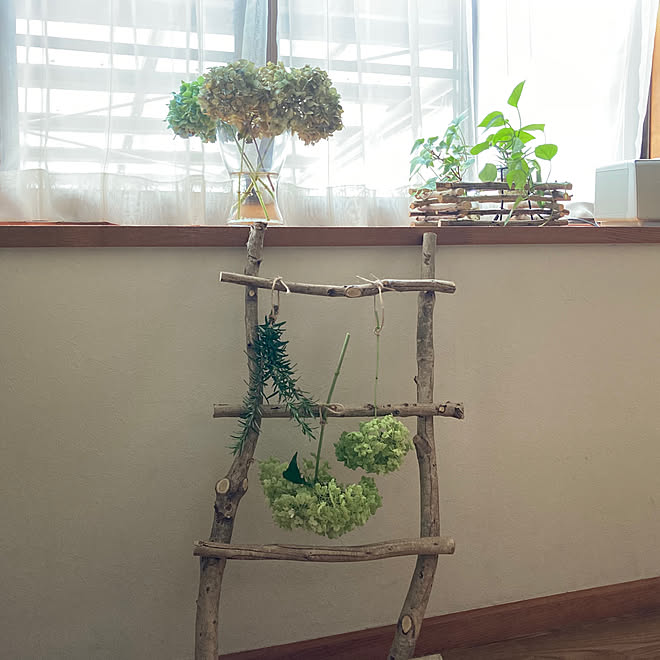 ローズマリー 庭の剪定した枝 ラダーｄiy いいね ありがとうございます 見てくれてありがとうございます などのインテリア実例 07 08 16 26 15 Roomclip ルームクリップ