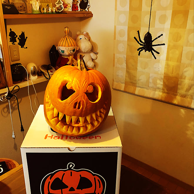 ハロウィンパーティー クモ 犬と暮らす家 ジャックラッセルテリア クモの巣 などのインテリア実例 10 29 21 59 27 Roomclip ルームクリップ