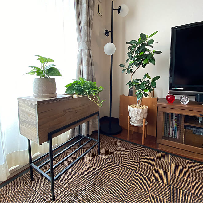 Sale 37 Off 50s ヴィンテージ フロアランプ 間接照明 観葉植物 その他