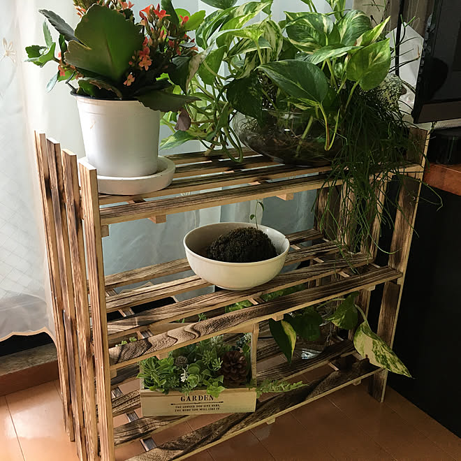 すのこリメイク すのこdiy 観葉植物 100均 Diy などのインテリア実例 05 18 08 30 45 Roomclip ルームクリップ すのこリメイク すのこdiy 観葉植物 100均 Diy などのインテリア実例 05 18 08 30 45 Roomclip ルームクリップ