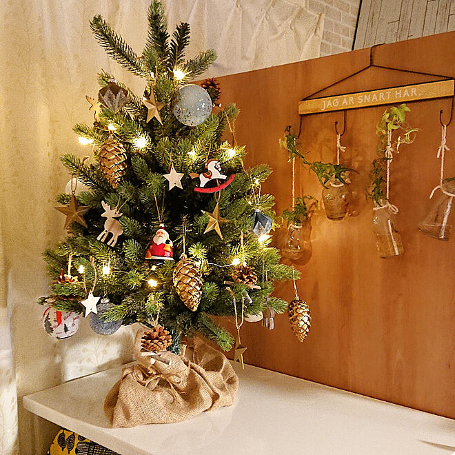 棚 クリスマス 観葉植物 クリスマスツリー90cm クリスマスツリー などのインテリア実例 19 12 16 17 50 52 Roomclip ルームクリップ