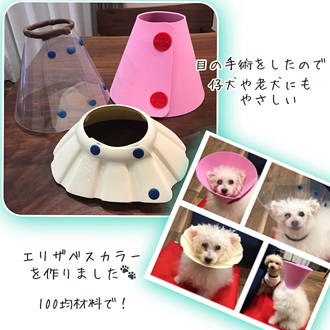 愛犬のために エリザベスカラー ハンドメイド 100均diy Diy などのインテリア実例 19 07 19 13 52 06 Roomclip ルームクリップ