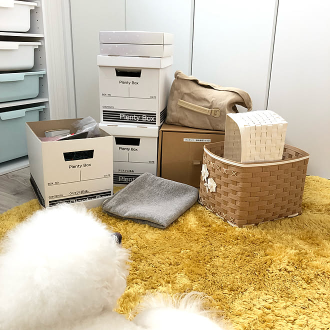 エコクラフト うにはくっつき虫 うにはお邪魔虫 ダンボール収納 イベント用 などのインテリア実例 2019 02 13 10 39 58 Roomclip ルームクリップ