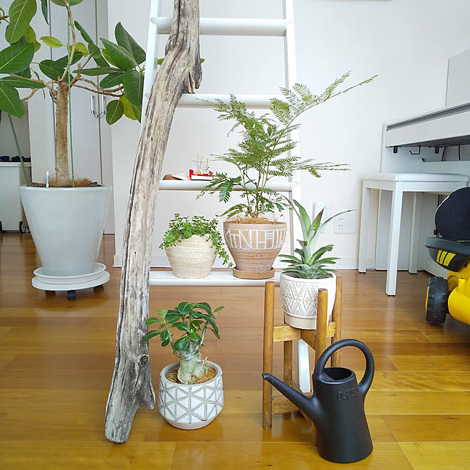 リビング 愛用品 夏 グリーン ロフトのある家 などのインテリア実例 22 08 14 13 37 01 Roomclip ルームクリップ