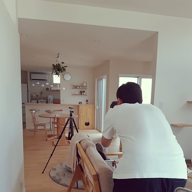 部屋全体 ネコとエコの家 平屋 地元の工務店 スローライフ名古屋 などのインテリア実例 19 08 12 19 24 05 Roomclip ルームクリップ 部屋全体 ネコとエコの家 平屋 地元の工務店 スローライフ名古屋 などのインテリア実例 19 08 12 19 24 05 Roomclip ルームクリップ
