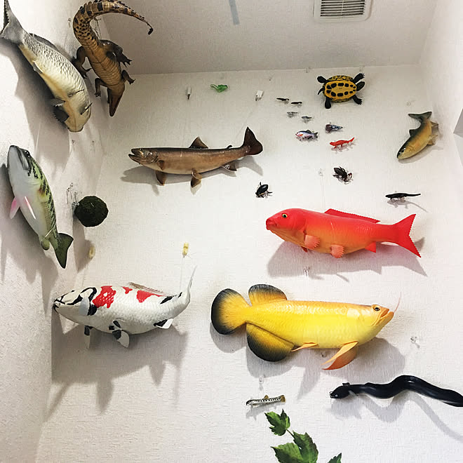川 川魚 実物大 フィギュア 木彫り などのインテリア実例 19 06 18 12 50 38 Roomclip ルームクリップ 川 川魚 実物大 フィギュア 木彫り などのインテリア実例 19 06 18 12 50 38 Roomclip ルームクリップ