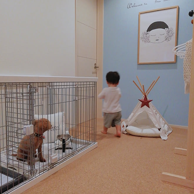 玄関 入り口 犬 ケージ いぬと暮らす ペティオ などのインテリア実例 21 05 24 18 40 02 Roomclip ルームクリップ