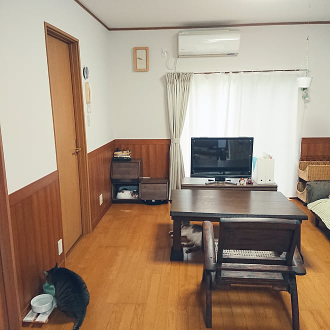 リビング 掃除しやすい 猫のいる暮らし お掃除ロボットで床に物を置かない生活に ダイソー などのインテリア実例 07 24 09 59 33 Roomclip ルームクリップ