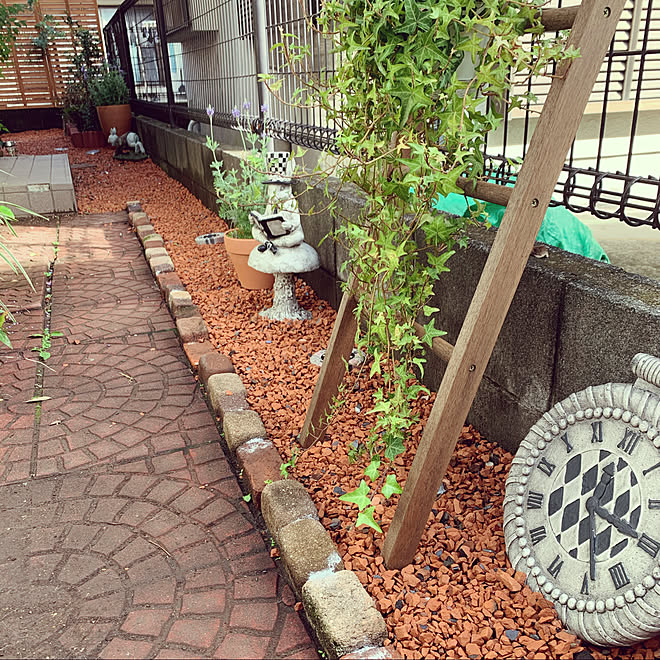 不思議の国のアリス風 不思議の国のウサギ ガーデンオブジェ チェシャ猫 ふしぎな国のアリス などのインテリア実例 10 12 08 24 Roomclip ルームクリップ 不思議の国のアリス風 不思議の国のウサギ ガーデンオブジェ チェシャ猫 ふしぎな国のアリス などのインテリア実例 10 12 08 24 Roomclip ルームクリップ