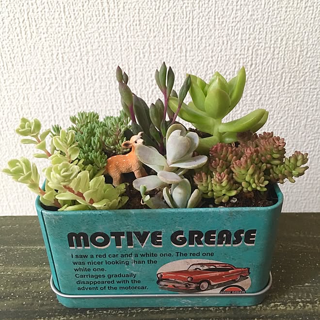 玄関 入り口 セリア雑貨 セリア 多肉寄せ植え 多肉植物寄せ植え などのインテリア実例 17 07 13 00 17 27 Roomclip ルームクリップ 玄関 入り口 セリア雑貨 セリア 多肉寄せ植え 多肉植物寄せ植え などのインテリア実例 17 07 13 00 17 27 Roomclip ルームクリップ