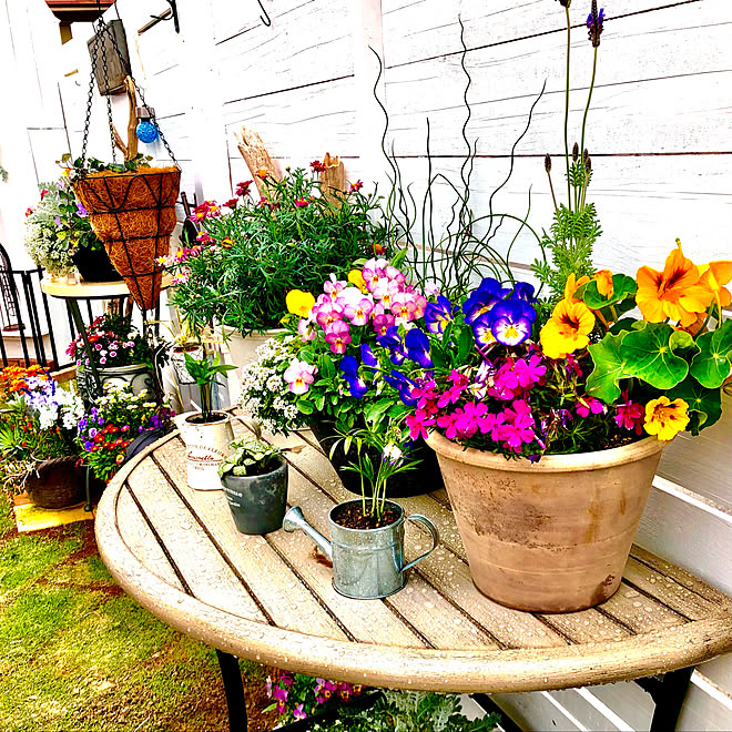 ガーデニング雑貨 カインズのペンキ 中古住宅diy Stay Home ホワイト などのインテリア実例 21 04 18 10 29 07 Roomclip ルームクリップ