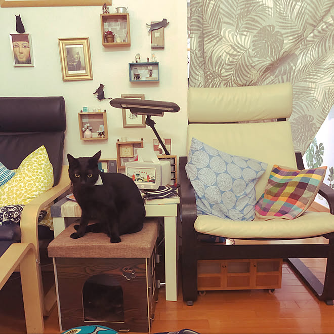 黒猫ミースケ ミニチュアディスプレイ ダイソー布のクッションカバー Ikeaの椅子と机 このハウスは僕のもの などのインテリア実例 21 09 14 17 51 49 Roomclip ルームクリップ 黒猫ミースケ ミニチュアディスプレイ ダイソー布のクッションカバー Ikeaの椅子と机 このハウスは僕のもの などのインテリア実例 21 09 14 17 51 49 Roomclip ルームクリップ