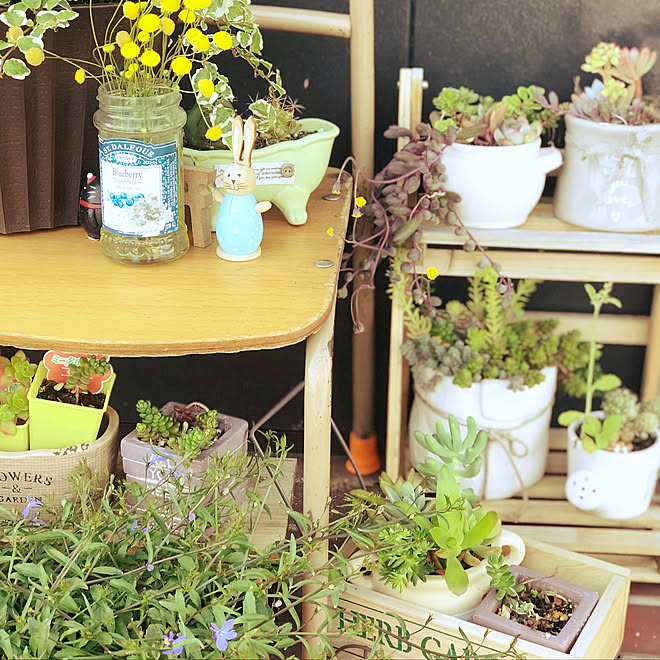 玄関 入り口 さぼてん 多肉 セダム レンガの玄関ポーチのインテリア実例 18 04 26 12 54 41 Roomclip ルームクリップ