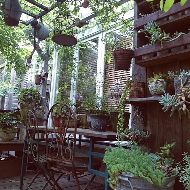 玄関 入り口 アンティーク ガーデニング ジャンクガーデン 古道具屋 などのインテリア実例 16 04 27 33 55 Roomclip ルームクリップ