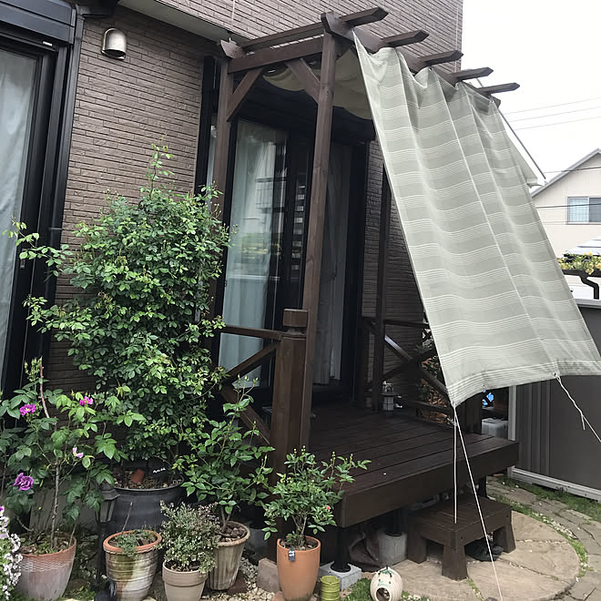 カインズホームのサンシェード パーゴラdiy もうすぐ薔薇が咲きそうです 19 5 6 観ていただいてありがとうございます などのインテリア実例 19 05 06 07 12 14 Roomclip ルームクリップ