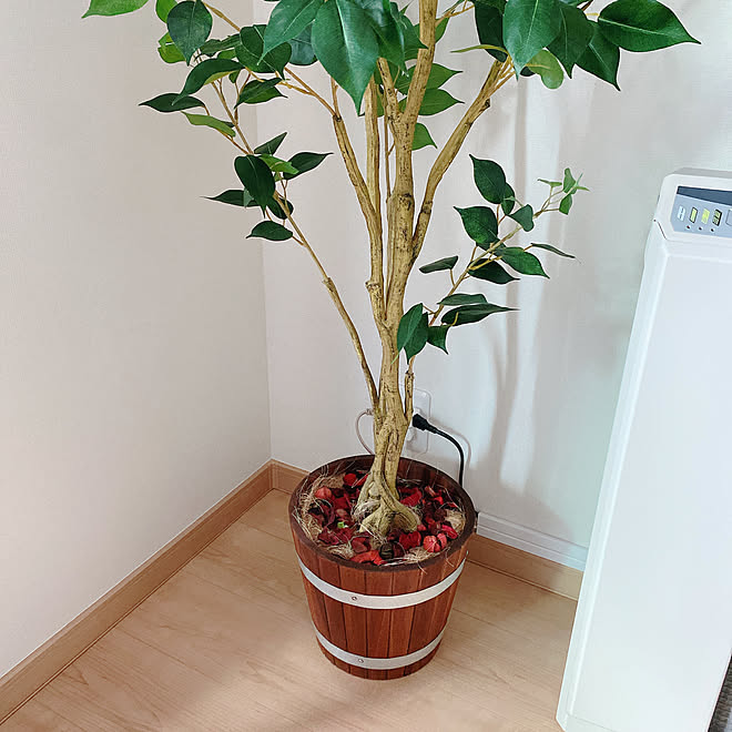 香りのある暮らし ニトリ フェイクグリーン 観葉植物 Ikea などのインテリア実例 11 08 11 49 06 Roomclip ルームクリップ 香りのある暮らし ニトリ フェイクグリーン 観葉植物 Ikea などのインテリア実例 11 08 11 49 06 Roomclip ルームクリップ