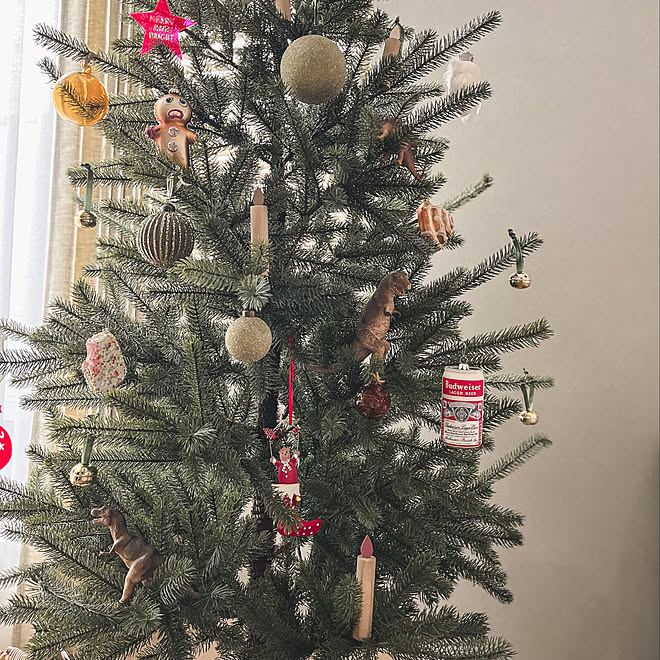 クリスマス 家族 Ikea Hay 海外インテリアに憧れる などのインテリア実例 22 11 29 12 02 54 Roomclip ルームクリップ