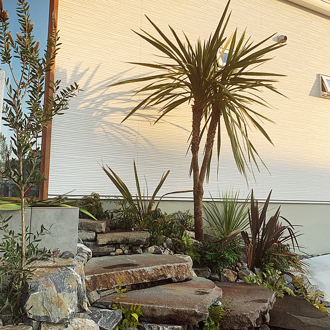 玄関 入り口 ロックガーデン バリ風 ドラセナのインテリア実例 04 29 21 50 54 Roomclip ルームクリップ