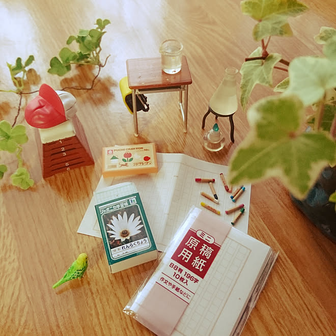 激安特価品 ミニチュア鉢植え375 sushitai.com.mx