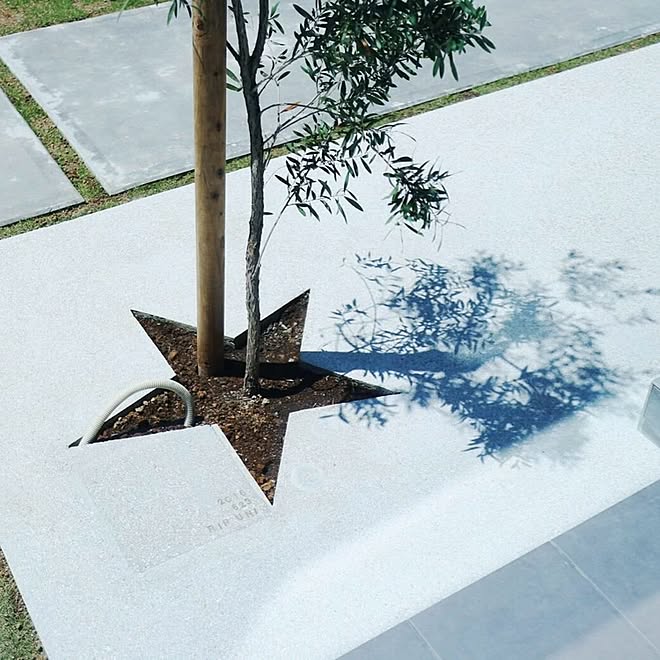 玄関 入り口 エクステリア 外構 観葉植物 多肉植物 などのインテリア実例 16 07 08 10 07 49 Roomclip ルームクリップ