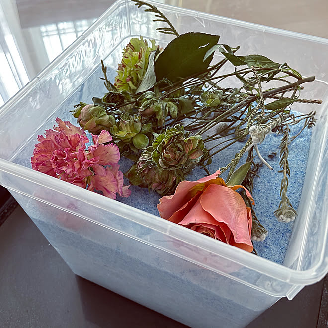 コストコ空き箱 再利用 成長記録 花のある暮らし 机 などのインテリア実例 21 05 28 11 19 32 Roomclip ルームクリップ