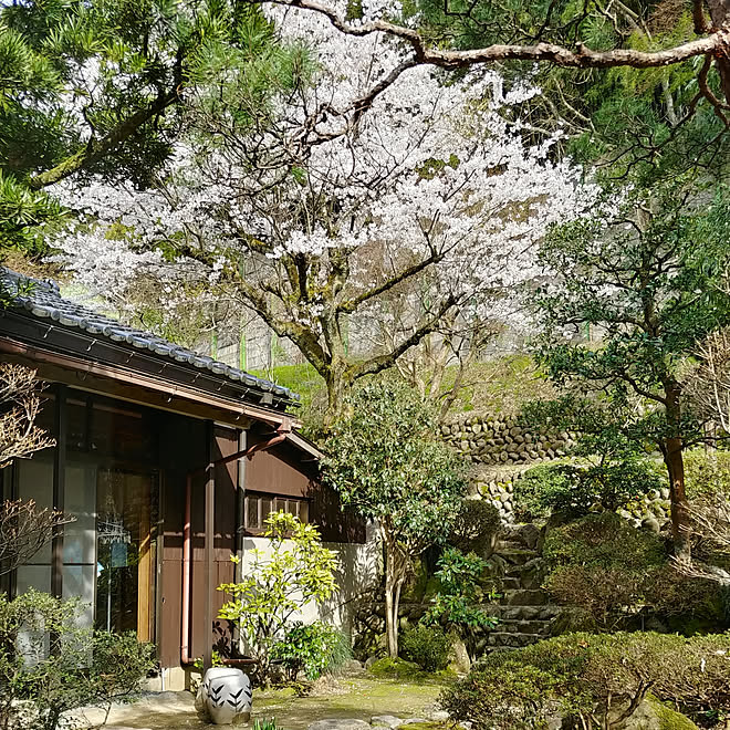 玄関 入り口 古い家 日本家屋 平屋 築40年以上 などのインテリア実例 19 04 11 16 32 04 Roomclip ルームクリップ 玄関 入り口 古い家 日本家屋 平屋 築40年以上 などのインテリア実例 19 04 11 16 32 04 Roomclip ルームクリップ