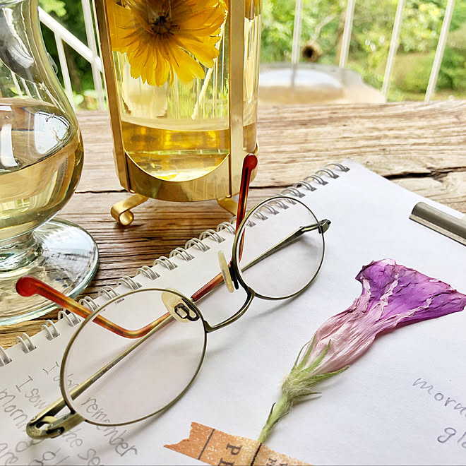 朝顔 仕事 ガーデニング 趣味 日記 などのインテリア実例 01 27 18 41 45 Roomclip ルームクリップ